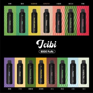 Feibi 菲比 電子煙全口味組合｜15種風味展示